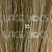 Lace Wig Hair Color Chart